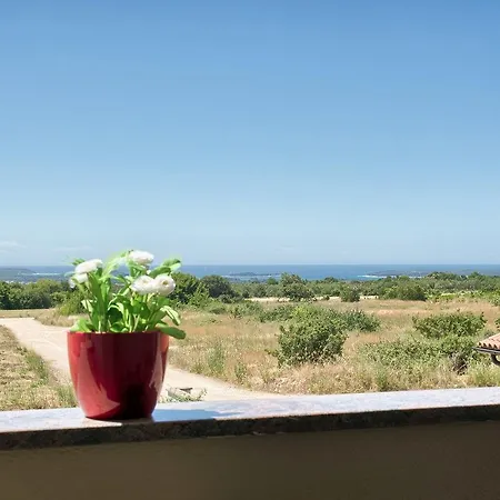 Exceptional With See View 3*
